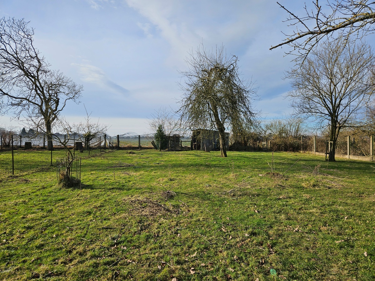 Terrain à vendre à bâtir Nalinnes La Ruche Immobiliere 6120 19a10ca (2)